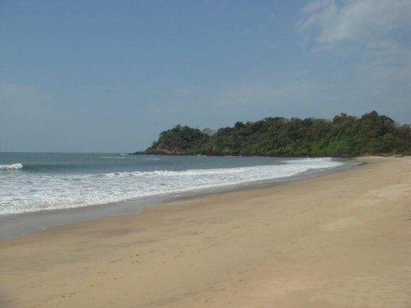 Porno Smeshariki sikish