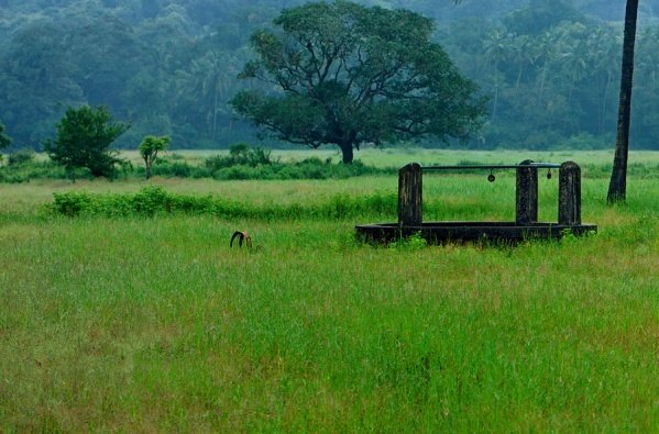 CID 0344 3e0d5831f8f01975c397d653895081ff мунсун в гоа что это