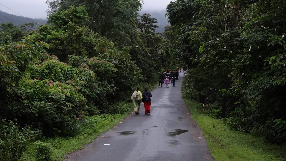 CID 0415 a68f37663b12ea09beb6b20ae39fb403 мунсун в гоа что это