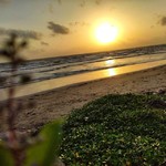 @instagram: Beach day#morjim beach#goa#sunset#⛱️????????????