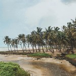 @instagram: Day 1: Went straight to Colva beach in South Goa from the airport. 
A white sandy stretch lined up with swaying palm trees, a creek, beach shacks and restaurants (closed during monsoons), it was just the right therapy I needed. 
#seastheday #perpetuallyta