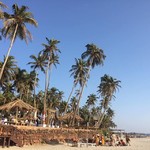 @instagram: #goa #morjim #beach #sun #relax #trip #pordosol