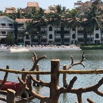 @instagram: For those of you interested in bird watching, the dock at lake 2 is a nice relaxing spot for birds????#resortemarinhadourada #marinhadourada #birds#kingfisher#nature#lake#arpora#goa#sunny#serene#birdwatching