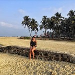 @instagram: Last day in this beautiful place????
#goa#india#relax#sun#ocean #bech#sand#palm#palmbeach#colvabeach#colva#индия#отдых#пляж#пальмы#солнце#океан