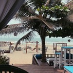 @instagram: palm trees and jacuzzi’s ???????? #goa