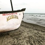 @instagram: Alleluia!
#hallelujah #alleluia #goa #morjim #morjimbeach #fishingboat #india