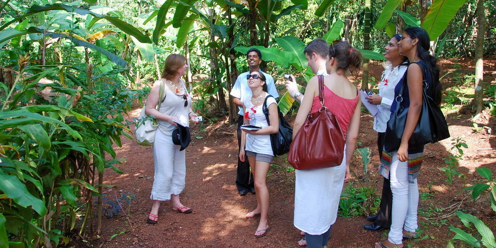 spice plantations мунсун в гоа что это